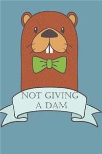 Not Giving a Dam - 2019 & 2020 Mid Year Academic Diary With Mind Maps, Budget Planner, Goal Setting & Inspirational Quotes