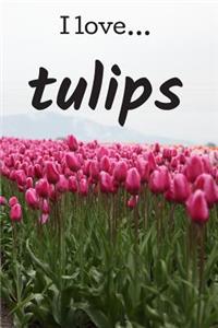 I Love Tulips