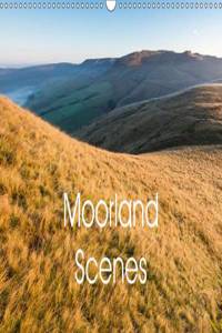 Moorland scenes 2016