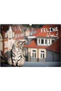 Feline Blues 2018
