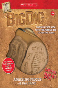 Big Dig Excavation Kit