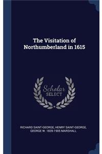 The Visitation of Northumberland in 1615