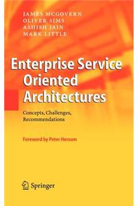 Enterprise Service Oriented Architectures: Concepts, Challenges, Recommendations