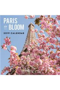 Paris in Bloom 2019 Wall Calendar