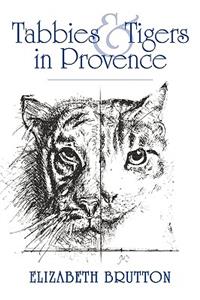Tabbies and Tigers in Provence