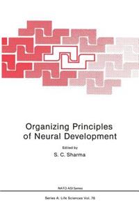 Organizing Principles of Neural Development