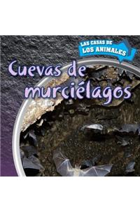Cuevas de Murciélagos (Inside Bat Caves)