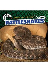 Rattlesnakes