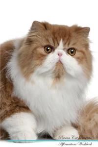 Persian Cat Affirmations Workbook Persian Cat Presents: Positive and Loving Affirmations Workbook. Includes: Mentoring Questions, Guidance, Supporting You.