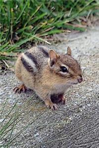 Chipmunk Journal