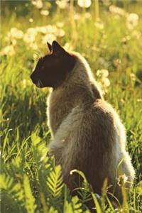 Siamese Cat Enjoys the Great Outdoors Journal