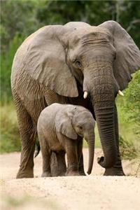 An African Mother Elephant with her Baby Elephant Animal Family Journal