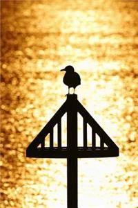 A Seagull Silhouetted by a Golden Sunset Journal