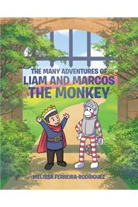 Many Adventures of Liam and Marcos the Monkey