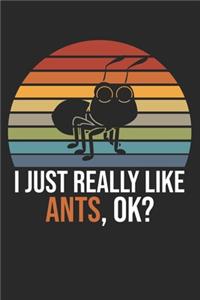 I Just Really Like Ants, OK?