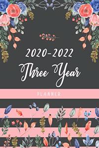 2020-2022 Three Year Planner