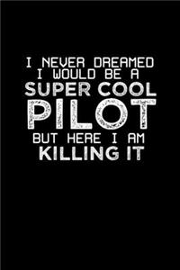 I never dreamed I would be a super cool pilot but here I am killing it