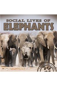 Social Lives of Elephants