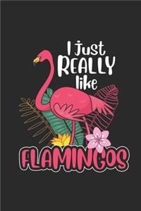 I Just Really Like Flamingos