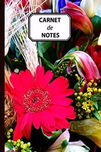 Carnet de Notes