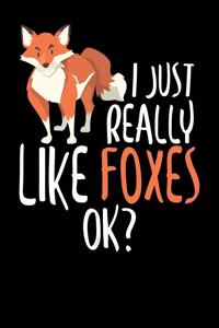 I Just Really Like Foxes, OK?