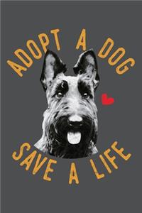 Adopt A Dog Save A Life
