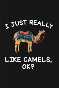 I Just Really Like Camels Ok
