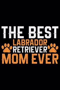 The Best Labrador Retriever Mom Ever