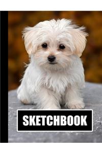 Sketchbook