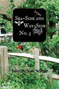 Sea-Side and Way-Side No. 3