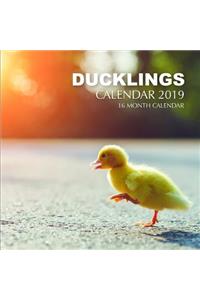 Ducklings Calendar 2019