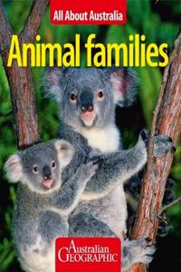 Animal Families All About Australia