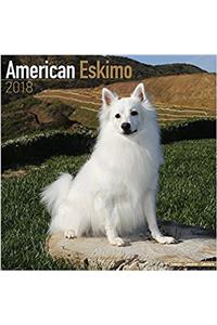 American Eskimo Calendar 2018