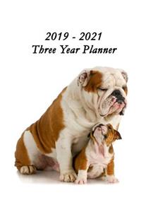 2019 - 2021 Three Year Planner