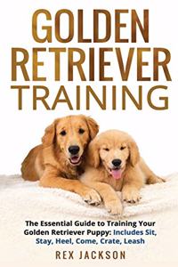 Golden Retriever Training