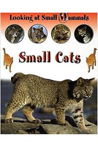 LOOKING AT SMALL MAMMALS SMALL CATS