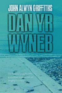 Dan yr Wyneb