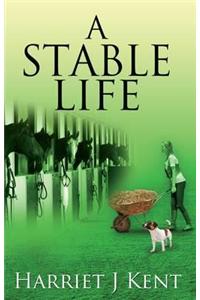 Stable Life