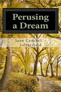 Perusing a Dream