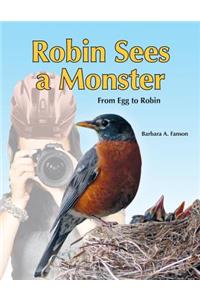 Robin Sees a Monster