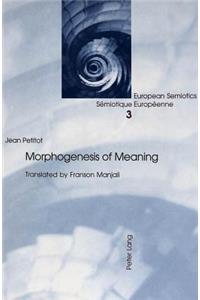 Morphogenesis of Meaning