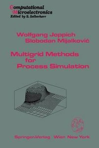 Multigrid Methods for Process Simulation