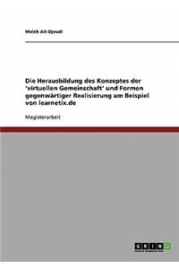 Herausbildung des Konzeptes der 'virtuellen Gemeinschaft' und Formen gegenwärtiger Realisierung am Beispiel von learnetix.de