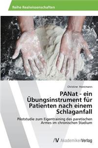 PANat - ein Übungsinstrument für Patienten nach einem Schlaganfall