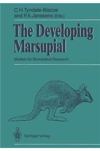 Developing Marsupial