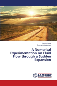 Numerical Experimentation on Fluid Flow through a Sudden Expansion