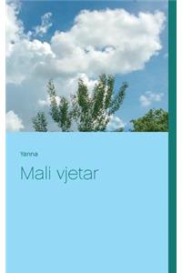 Mali vjetar
