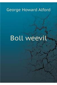 Boll Weevil