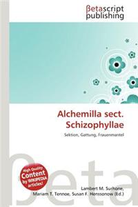 Alchemilla Sect. Schizophyllae
