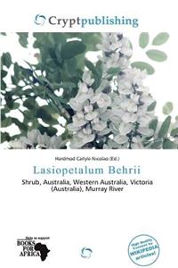 Lasiopetalum Behrii